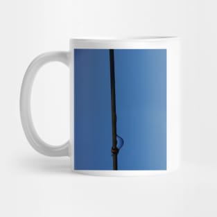 On the Wire - Magpie Springs - Adelaide Hills Wine Region - South Australia Mug